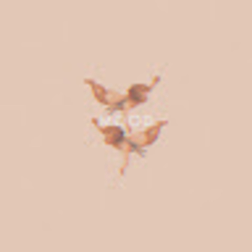 Meet your Posher, Lohandra